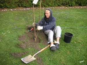 KONICA MINOLTA DIGITAL CAMERA