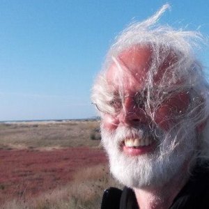 10947176_545705792233148_259844376683394835_n