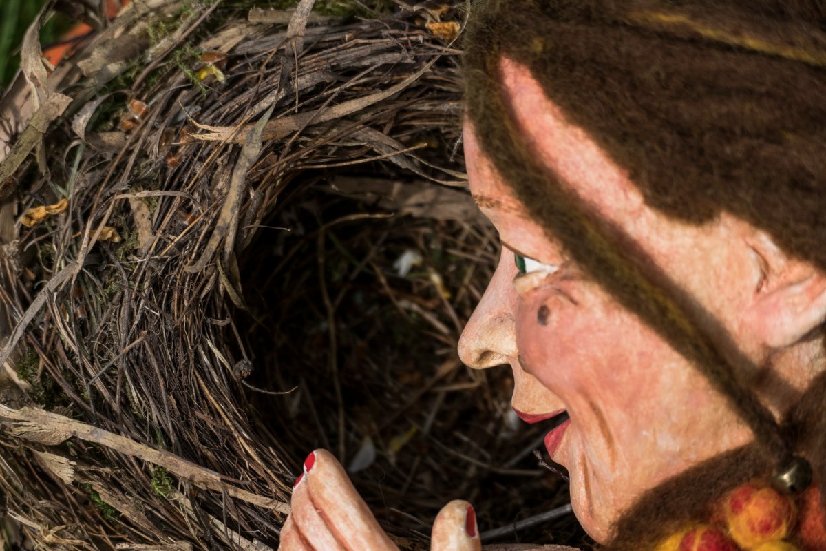 Mein Nest ist meine Heimat