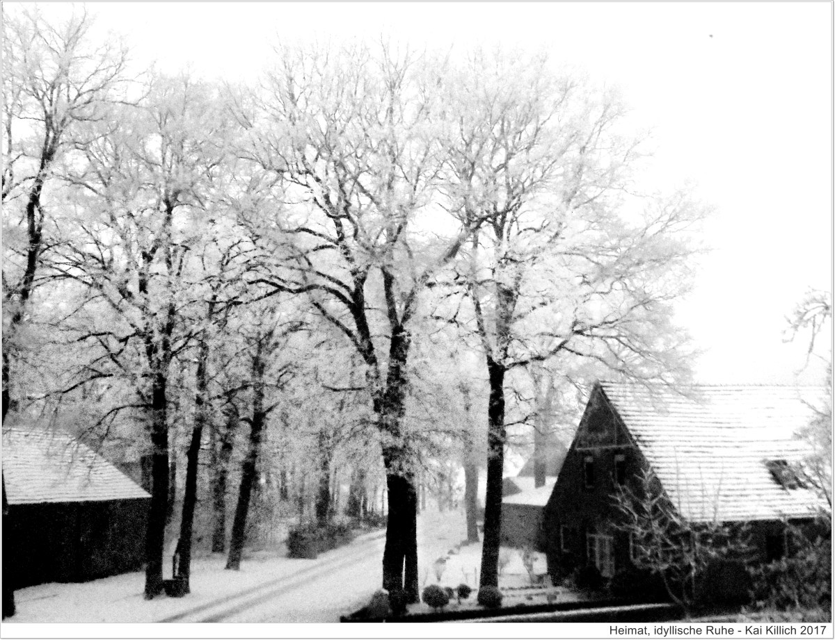 Kai showingmehome 2017